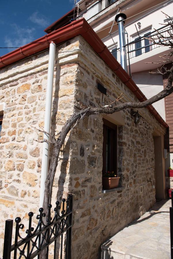 Appartamento Το Πέτρινο Της Γιαγιάς Μαρίκας Karpenísion Esterno foto